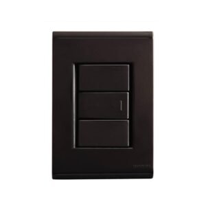 Interruptor Simples 10A/250V com Placa 4x2 Liz Grafite - Tramontina | Instalação Modular